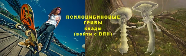 apvp Алексеевка