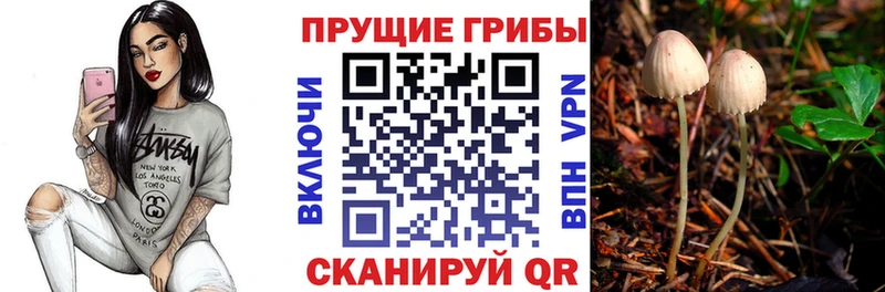 Галлюциногенные грибы ЛСД  где найти   Ижевск 